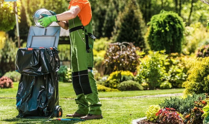 Increase Your Yard Vegetation Removal Business with an AI Driven, Targeted Website
