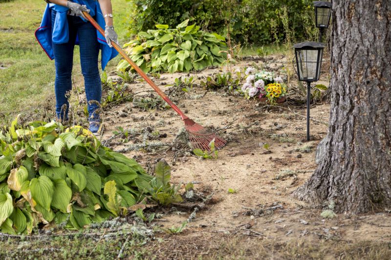 Contact About Yard Vegetation Removal