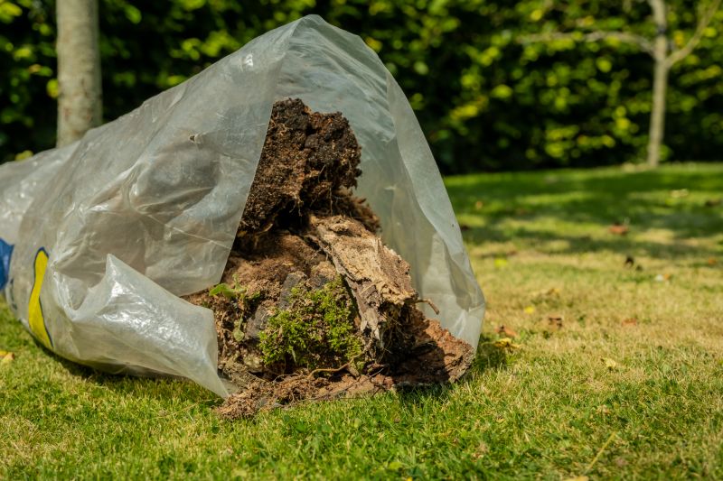 Yard Vegetation Removal