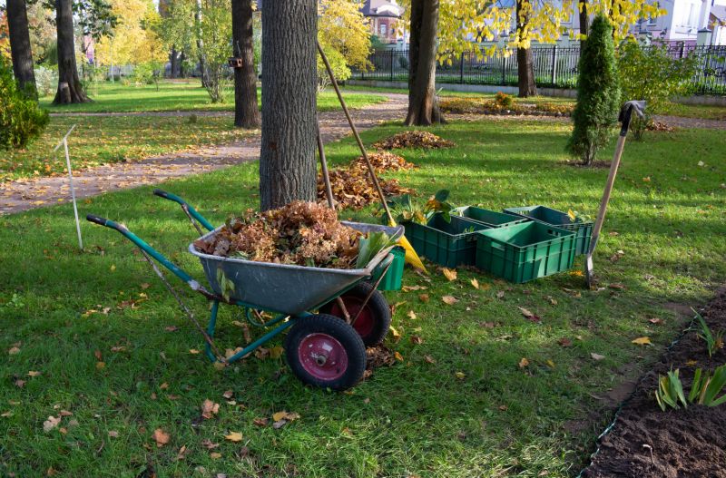 Yard Vegetation Removal