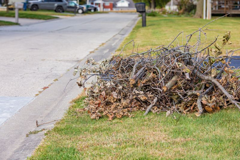Yard Vegetation Removal