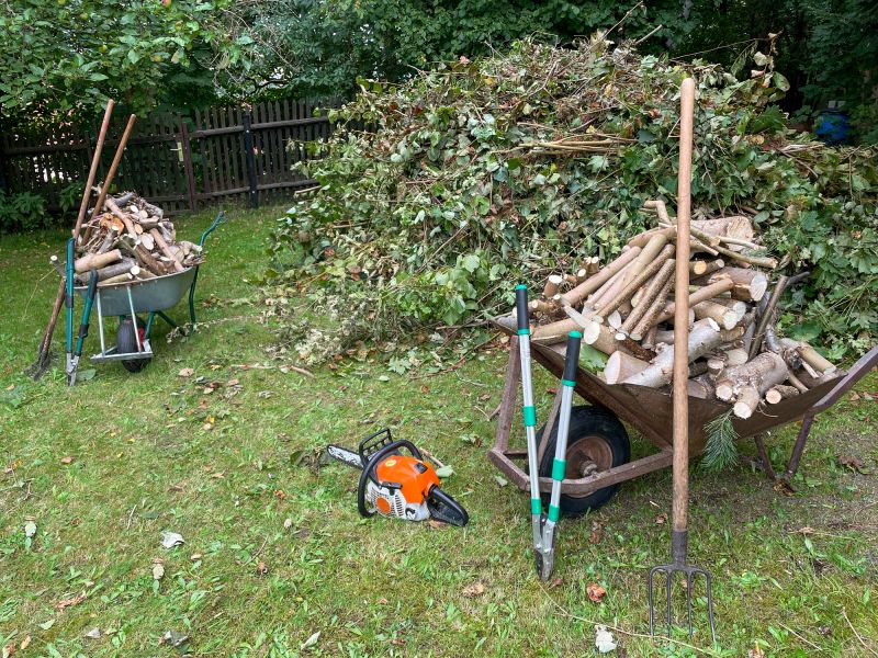 Yard Vegetation Removal