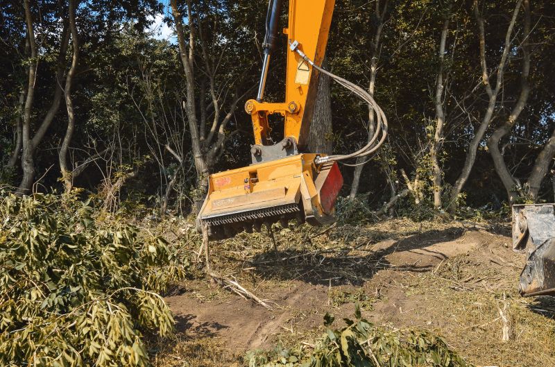 Equipment Used in Vegetation Removal